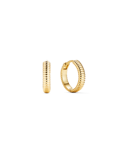 Charlotte Textured Hoops