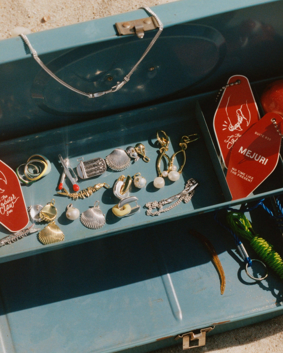 Amelia Seashell Brooch